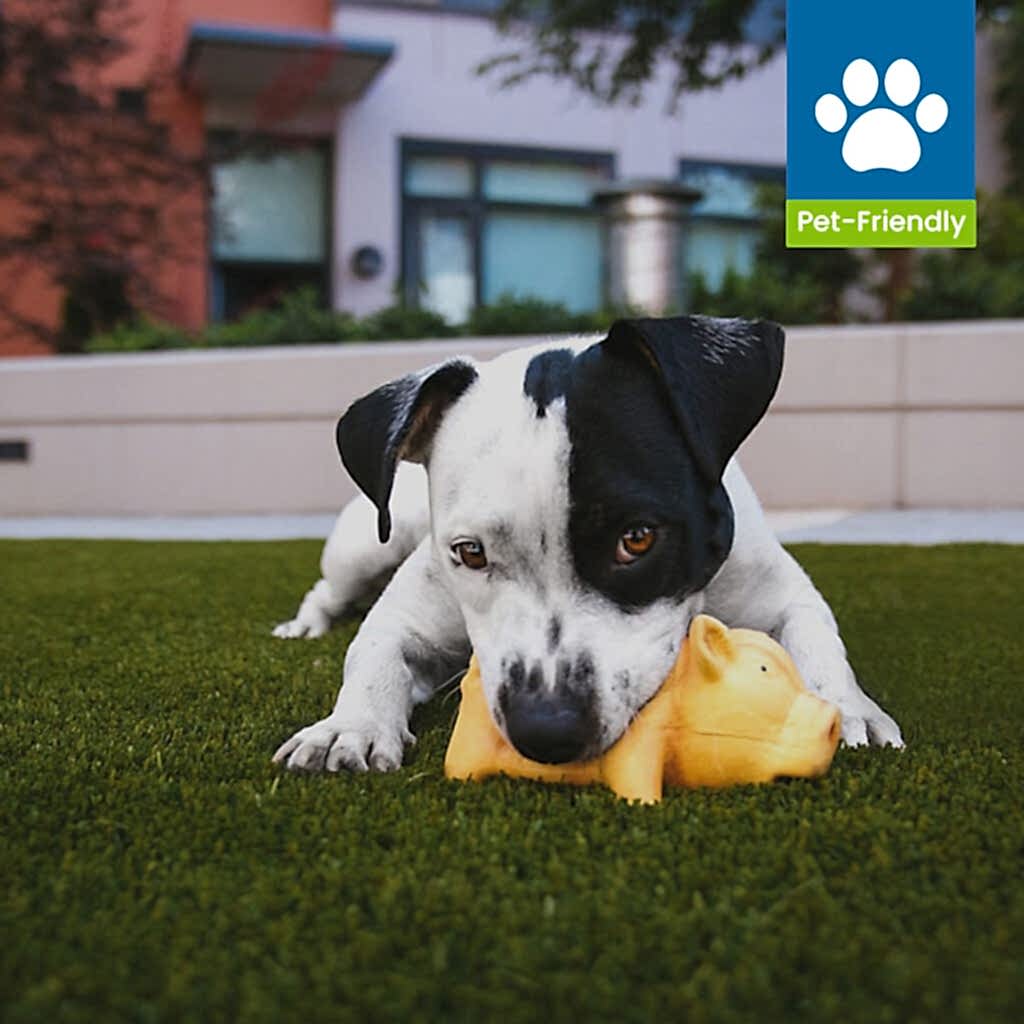 pet friendly artificial grass