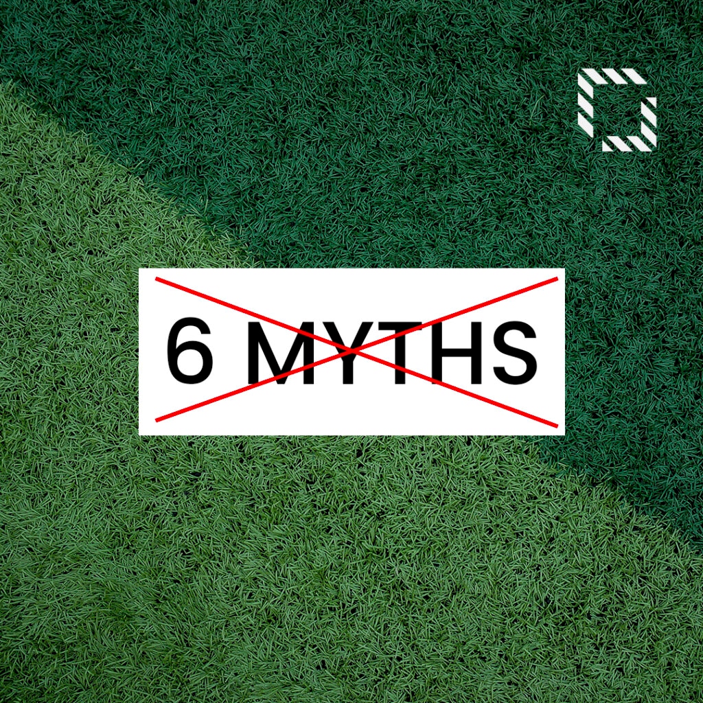 Top 6 Myths About Artificial Grass Debunked