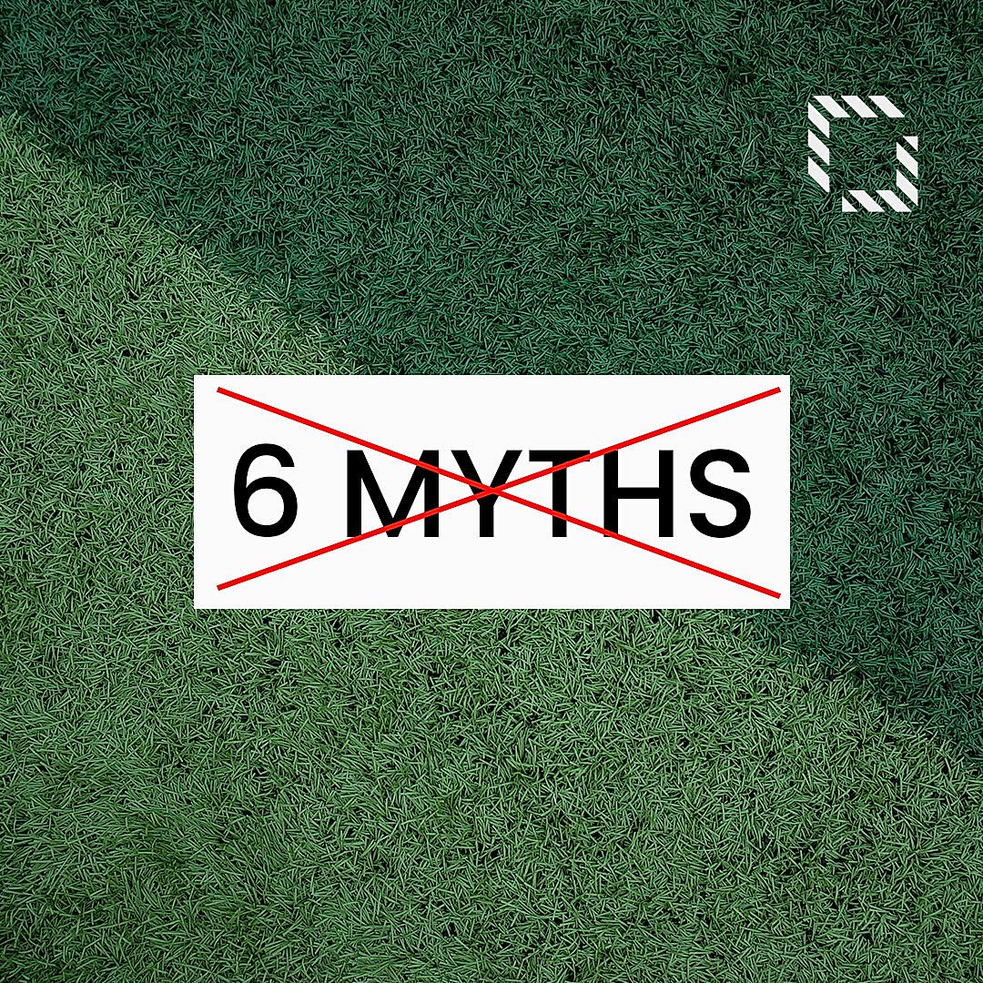 Top 6 Myths About Artificial Grass Debunked